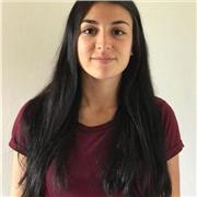 Lezioni private di matematica/fisica/inglese